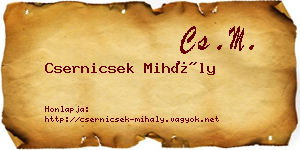 Csernicsek Mihály névjegykártya